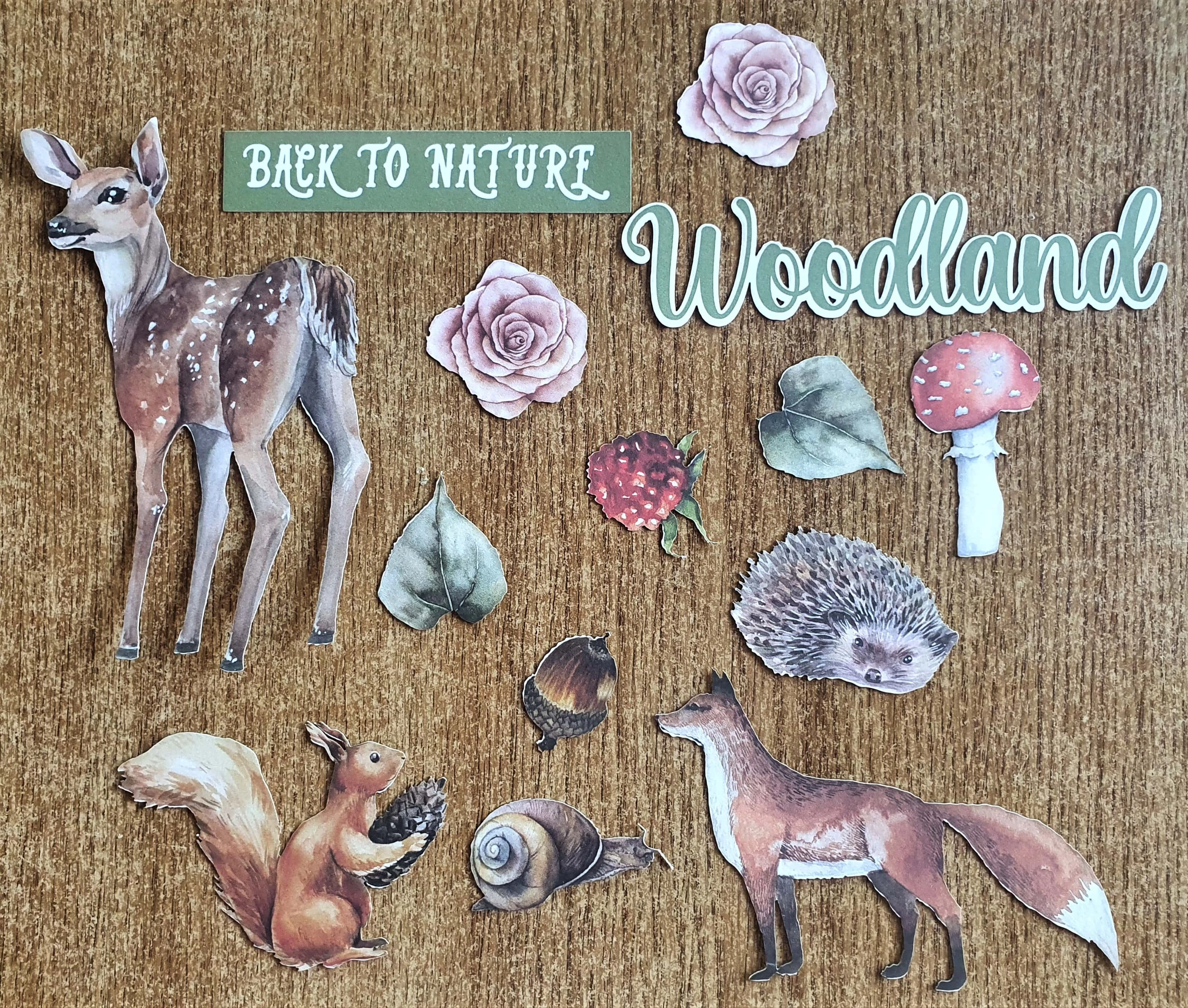 Here are some of the Die-Cut elements I'm thinking of using out of the Pack.