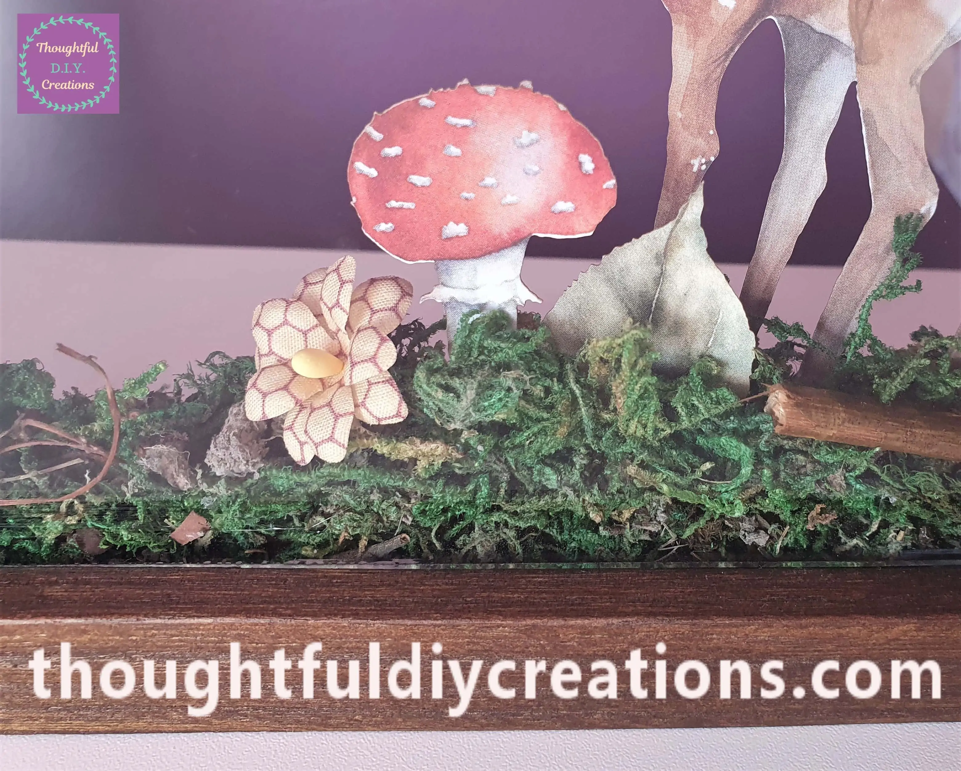 A Front View and Close-Up of the added elements.