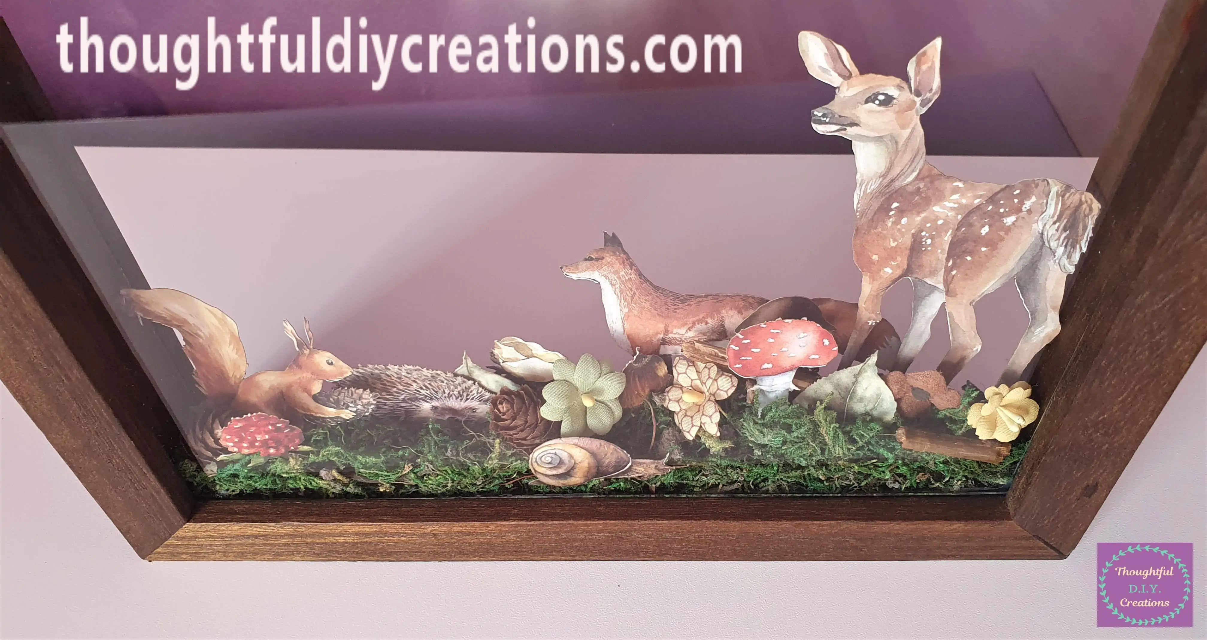 The Frame from the Front.