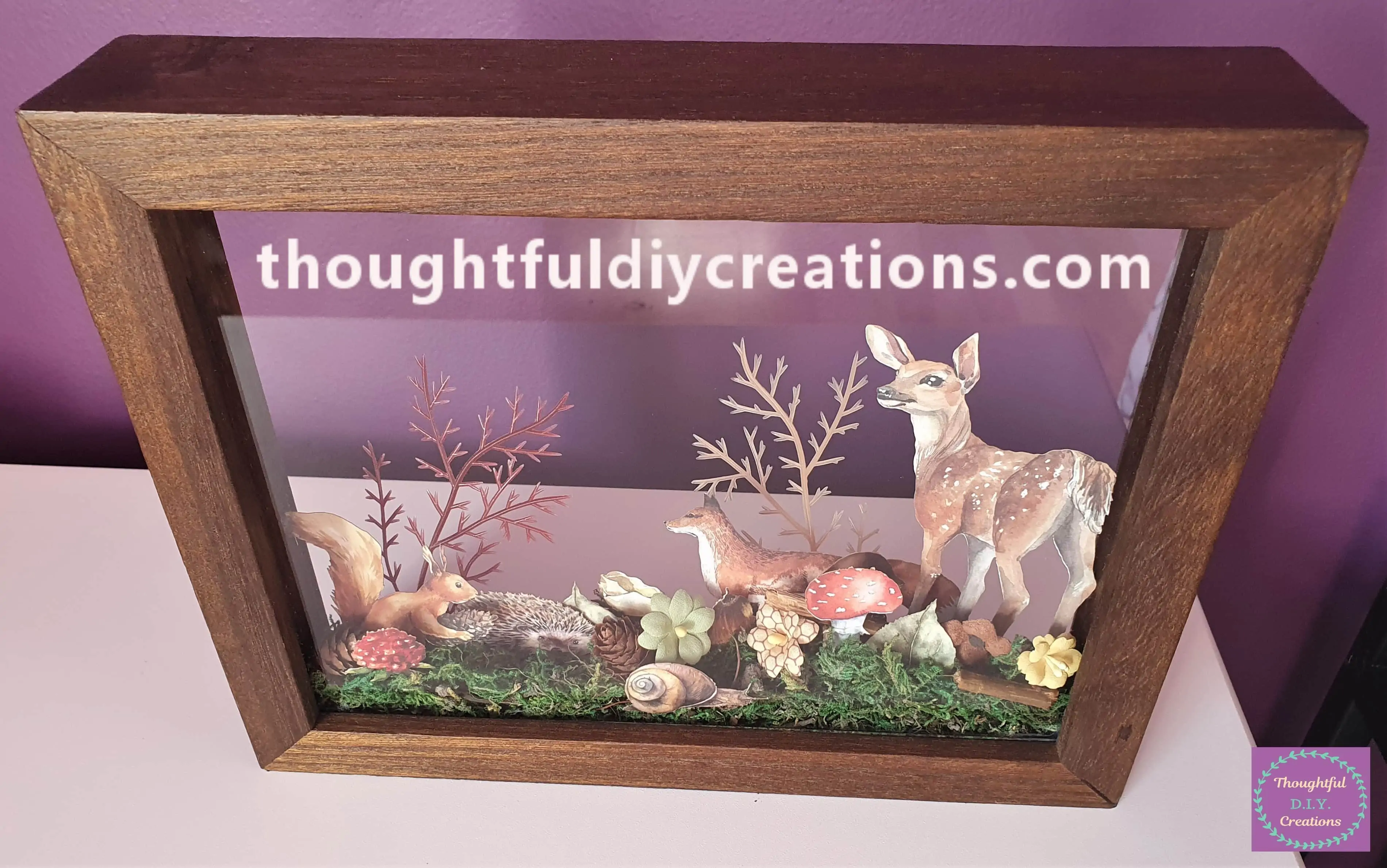 A Full View of the Frame.