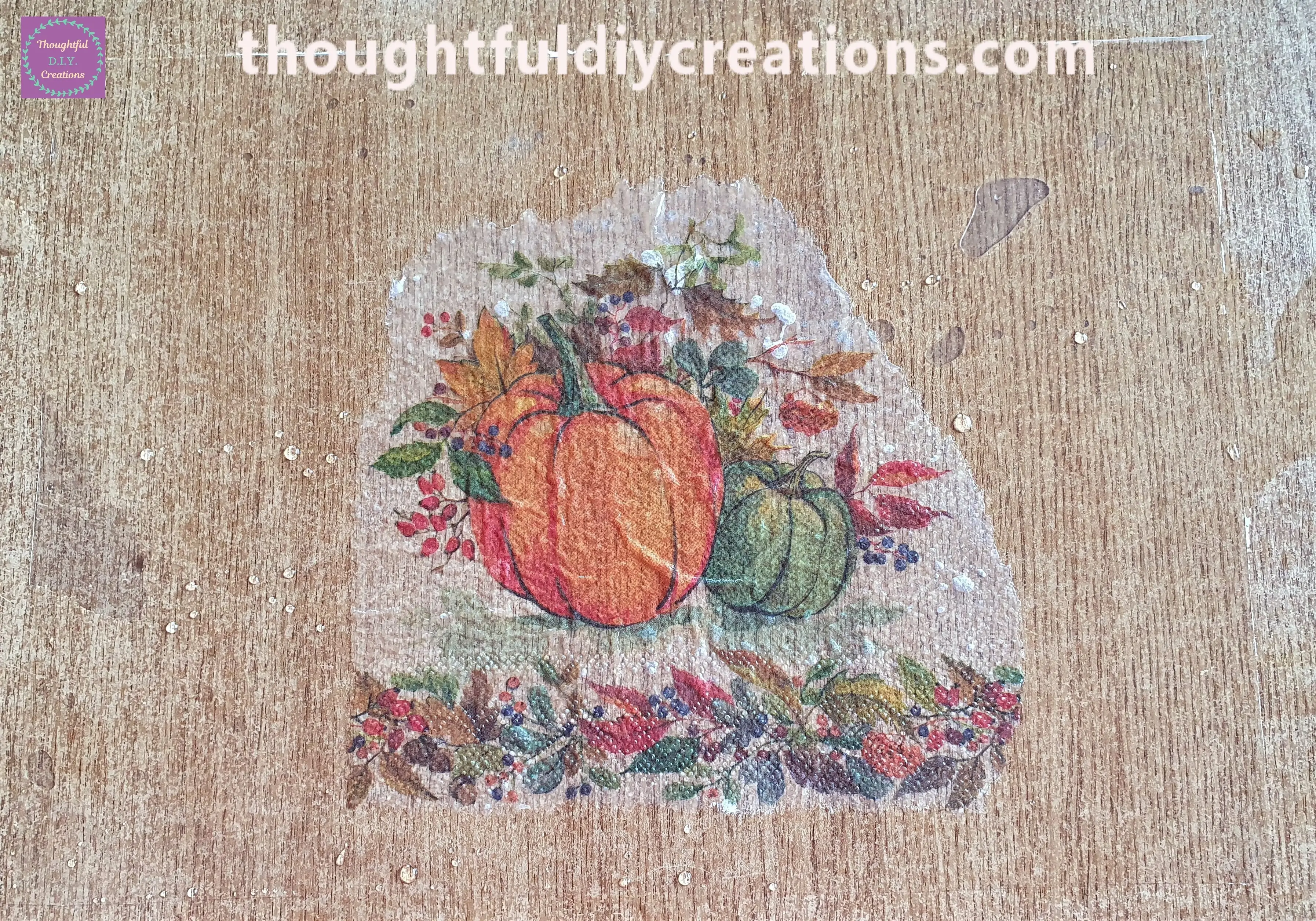 I Continued moving the Plastic Sheet with Napkin raised in the Air until the whole Napkin was covered with water.