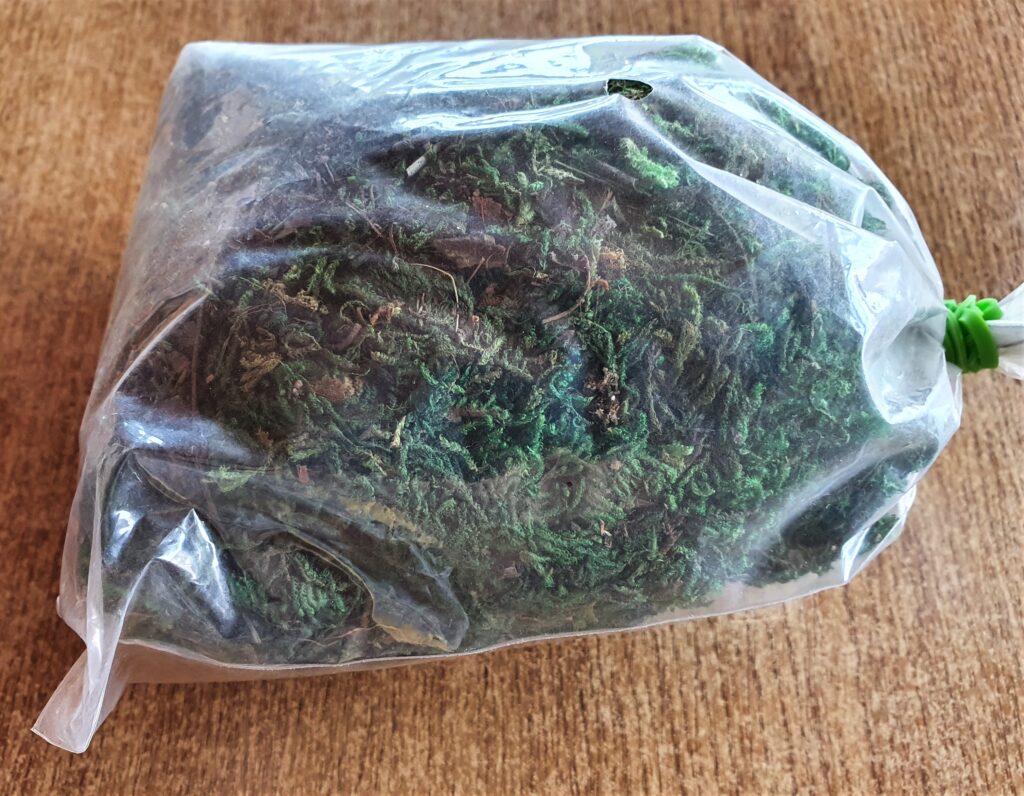I got my Bag of Dried Moss.