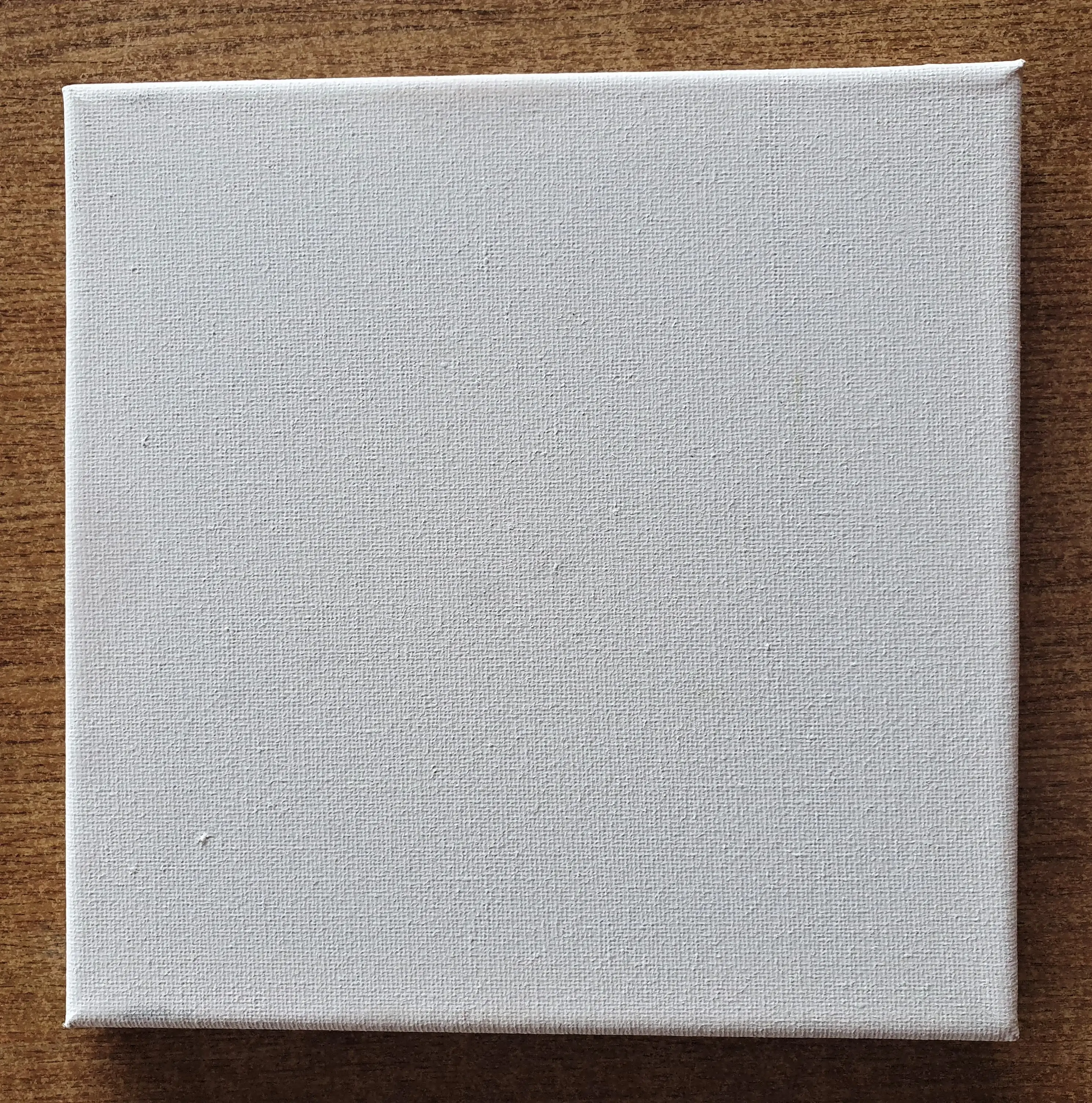 Square Primed 20cm x 20cm Canvas.