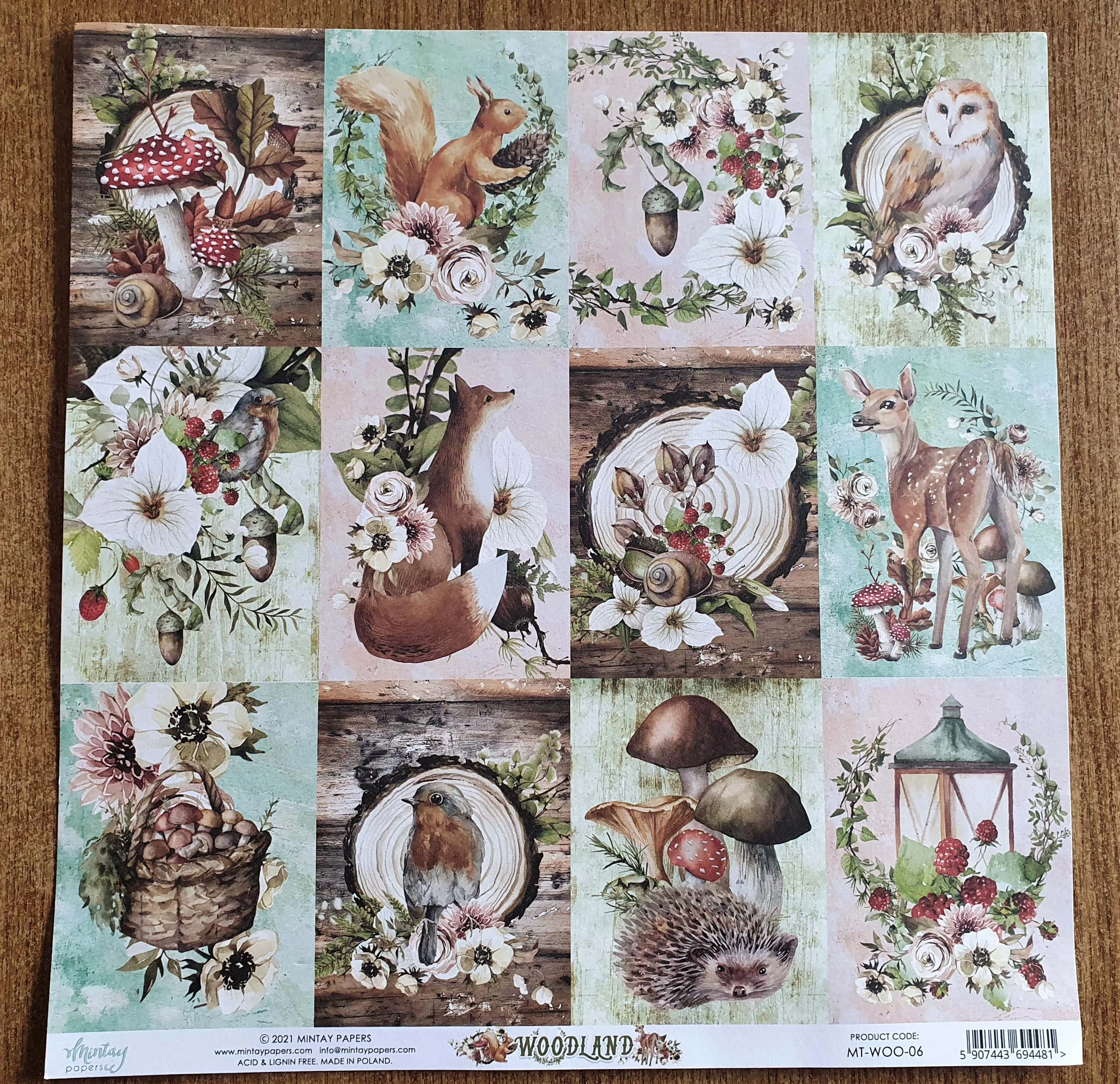 I had a 12" x 12" Nature Inspired Cardstock Sheet.