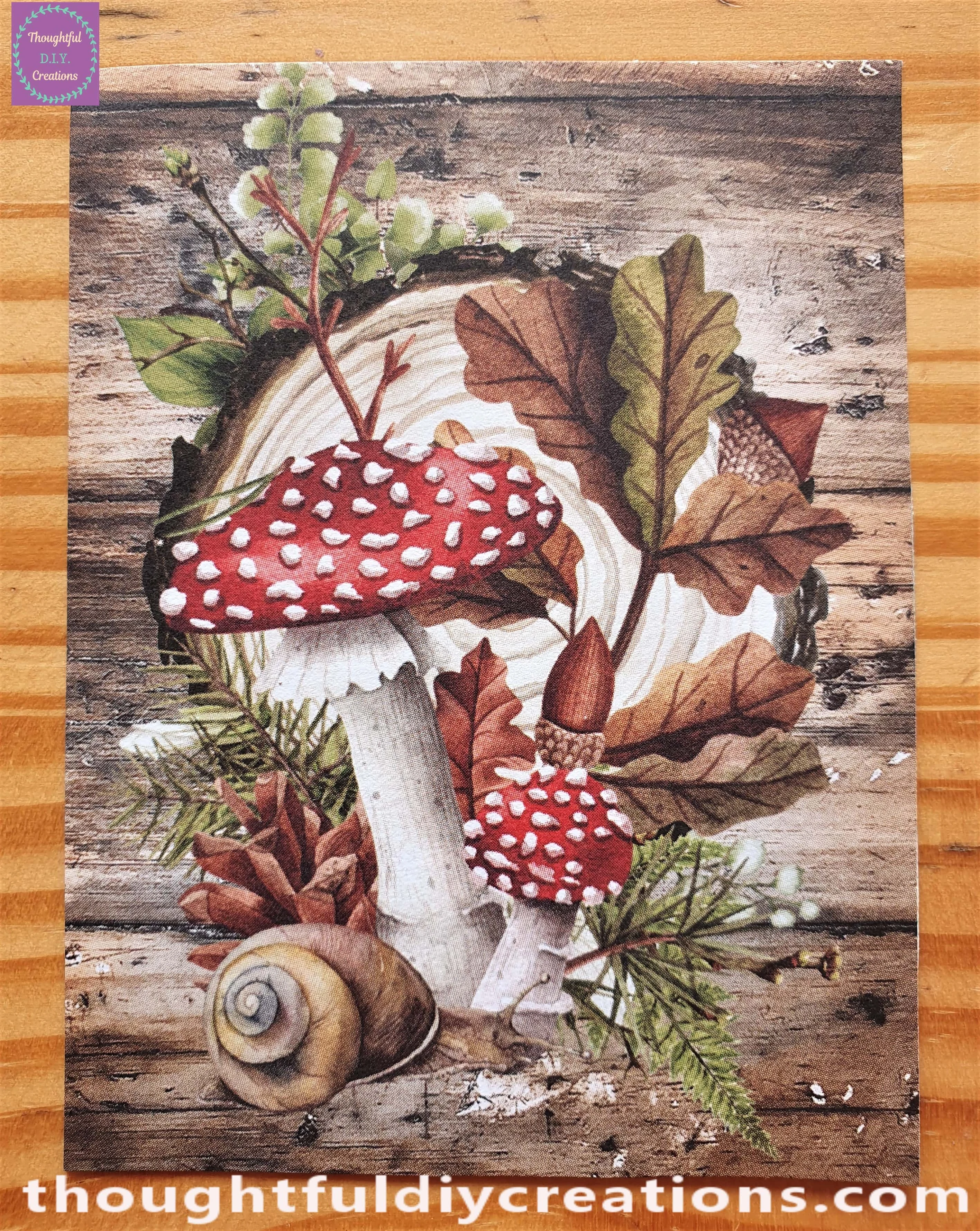 I Cut out the Image of a Mushroom, Wood Slice & Leaves.