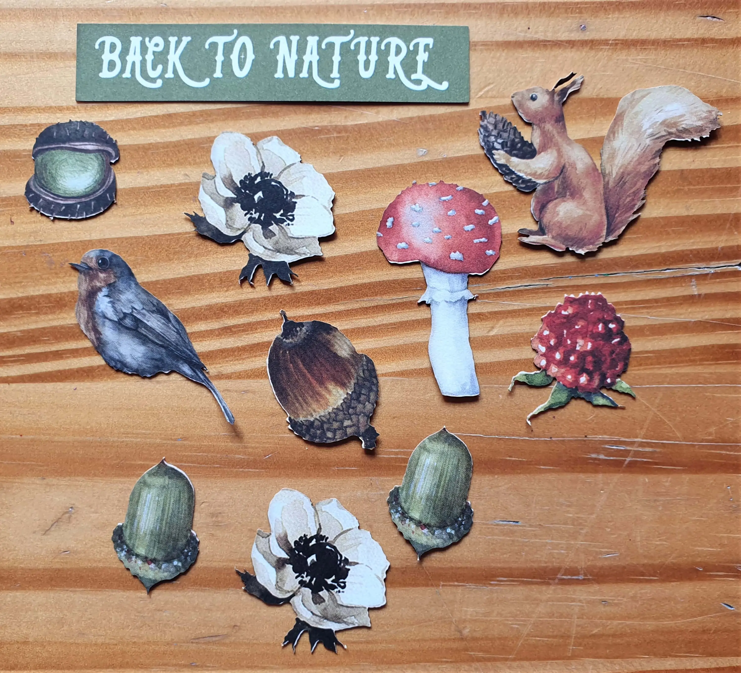 These are some of the Woodland Die-Cuts that I might use for the Canvas.