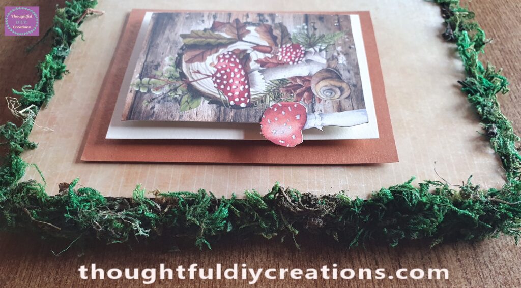 I put some Pritt Stick on the edge of the Die-Cut Mushroom andattached it to the edge of the Image.