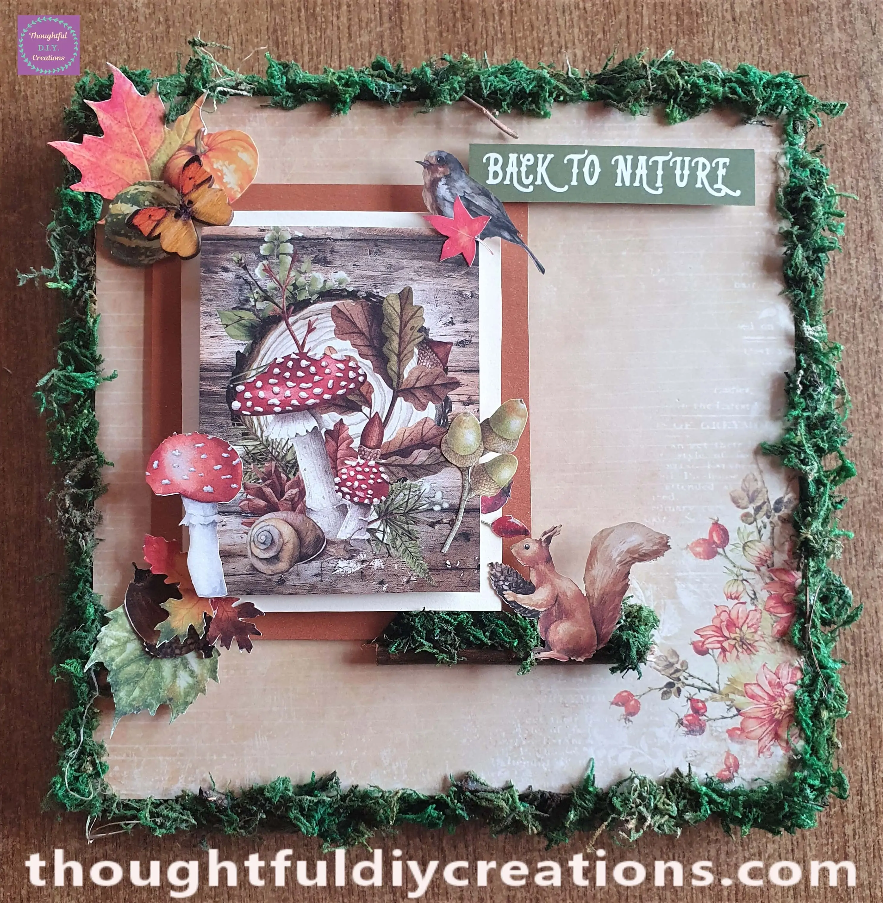 This Completed my Nature Canvas.