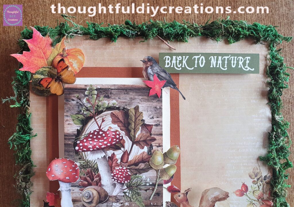 The Top Part of the Canvas.