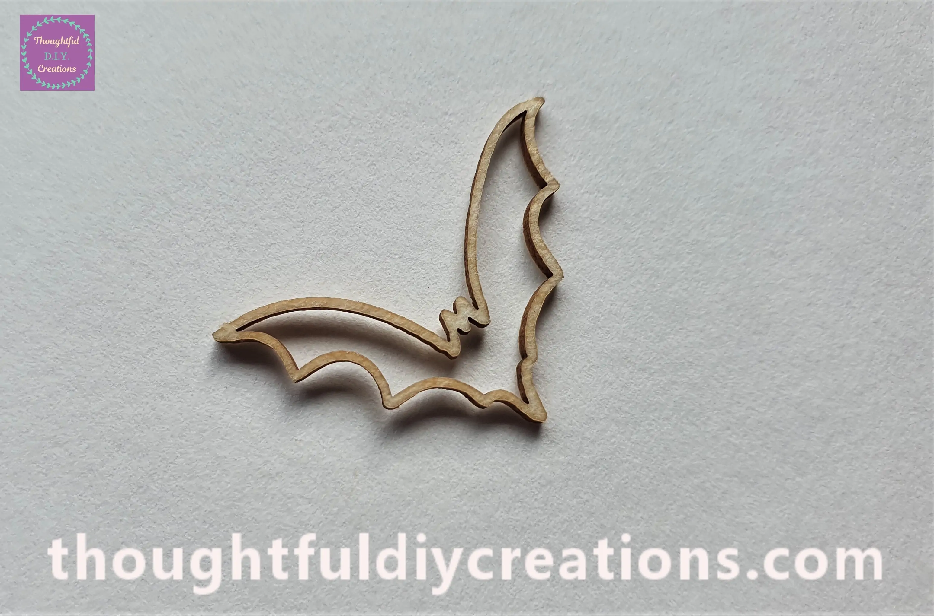 I then put the Bat on a Sheet of White Paper facing upwards.